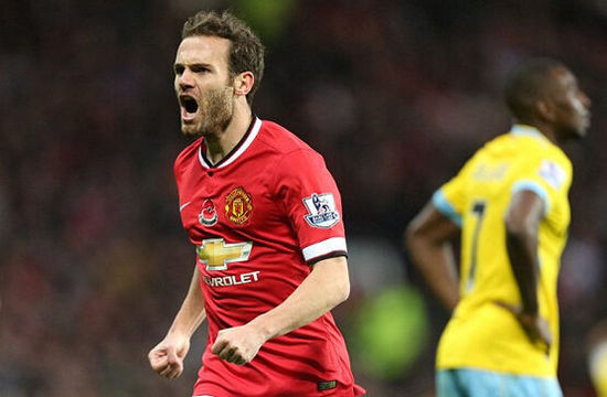 南京头排苏 南京头排苏